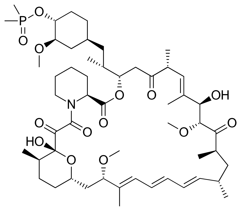Ridaforolimus (Deforolimus, MK-8669) - 50mg