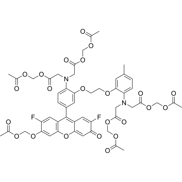 Fluo-4 AM - 20  µL