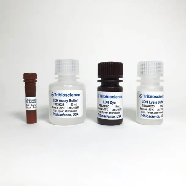 PathPlus TM TAG-72 Antibody (clone B72.3) LS-B5154 - 250 µL