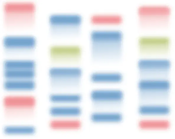 Customized Prestained Protein Ladder 