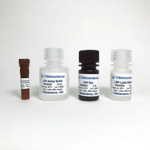 [LS-B5154] PathPlus TM TAG-72 Antibody (clone B72.3) LS-B5154 - 250 µL