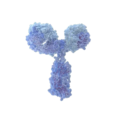 [ANT-H00002191-PW2] FAP (Human) IP-WB Antibody Pair